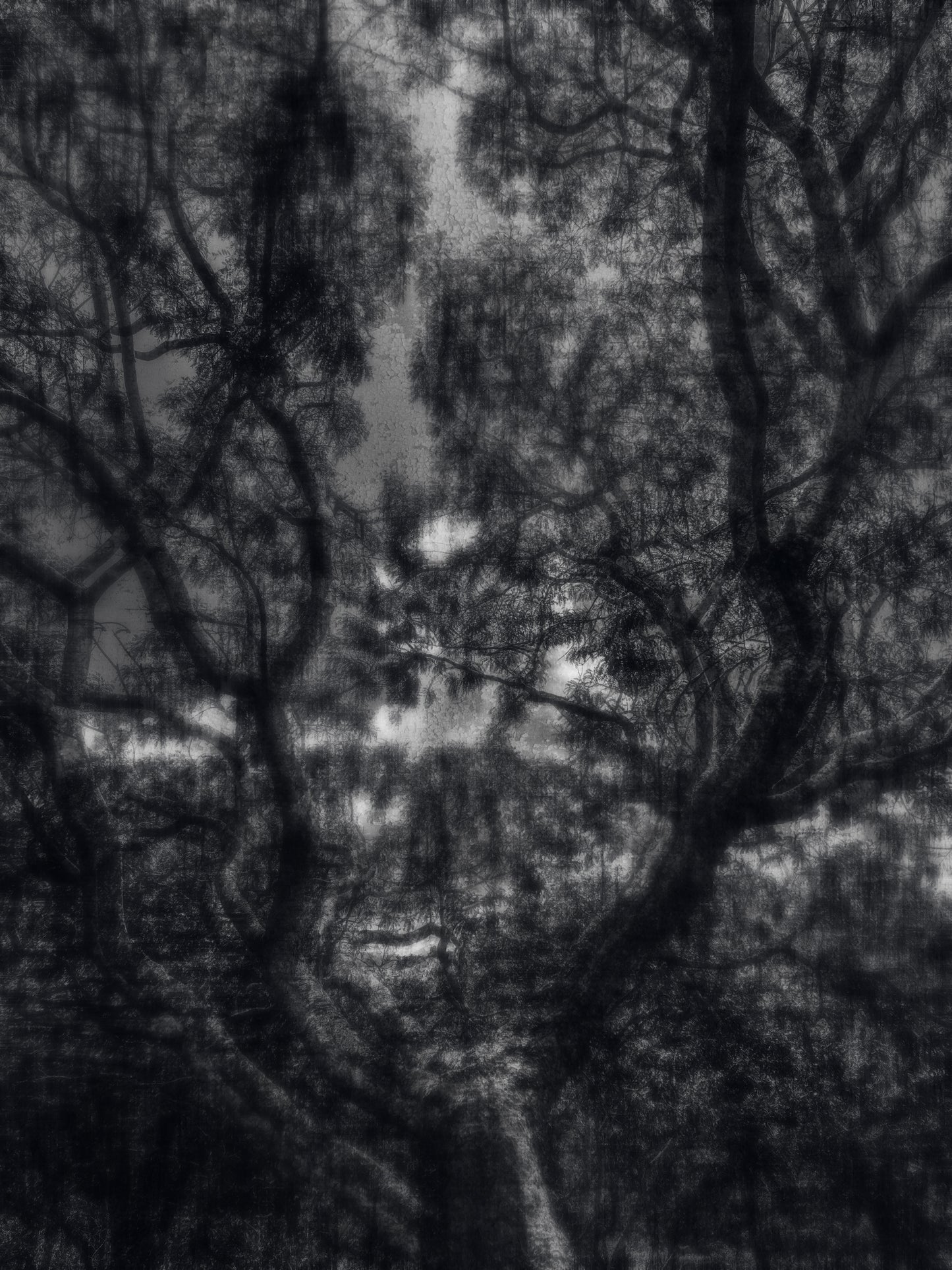 "Memory of Shadows" | 90x120cm Signed Fine Art Print by Felipe Hueb