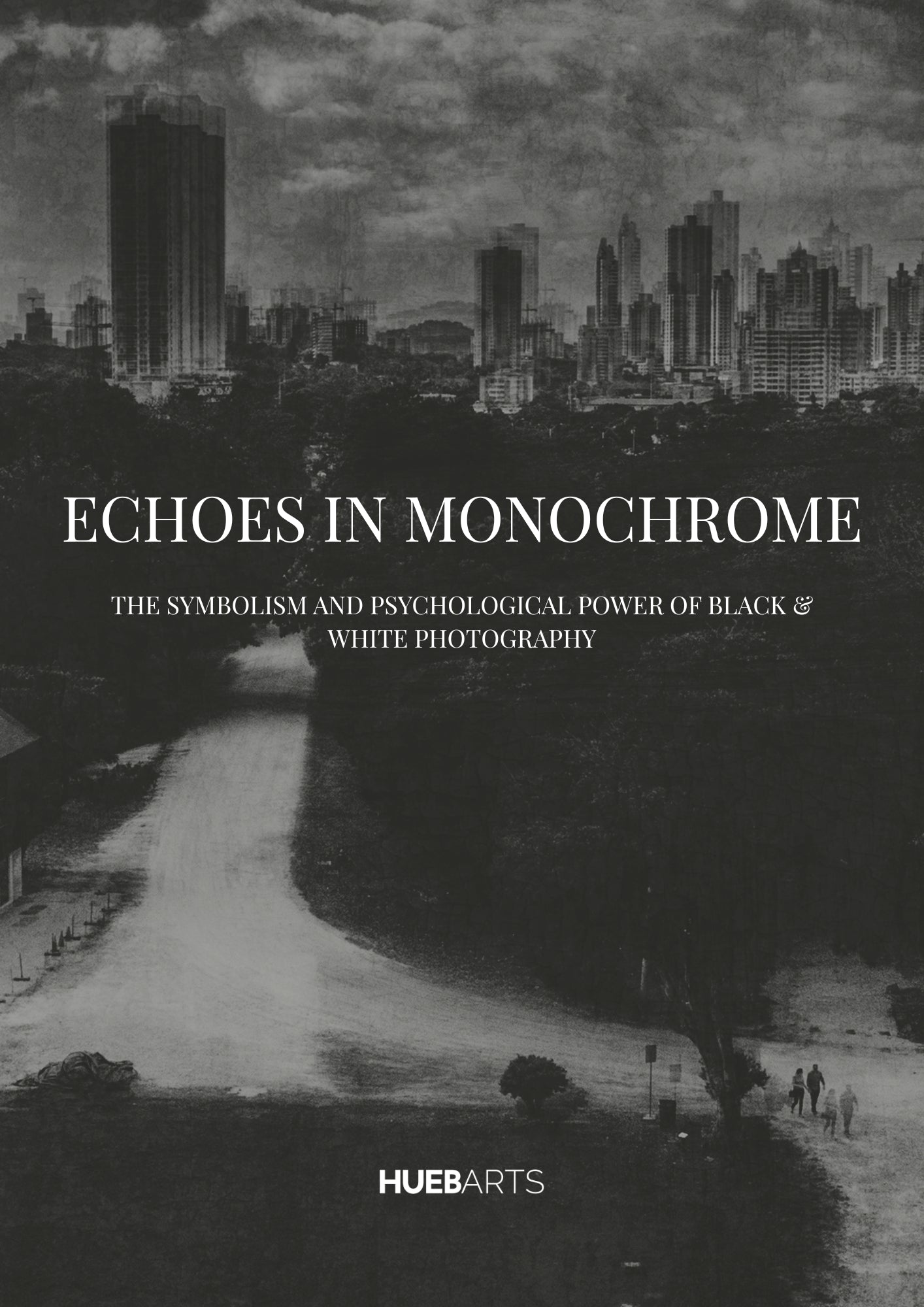 E-book: Echoes of Monochrome