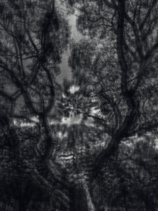 "Memory of Shadows" | 90x120cm Signed Fine Art Print by Felipe Hueb
